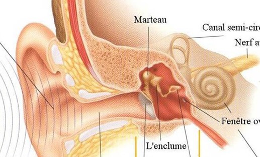 Lectura para pacientes Información legal que asiste al futuro implantado coclear, leyes, Programa Médico Obligatotio – PMO – Abordaje Psicológico y Educacional en un programa […]
